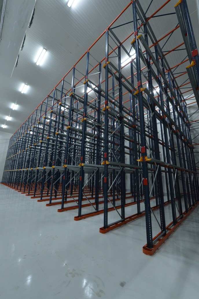 Space-Saving Drive-in Racking System